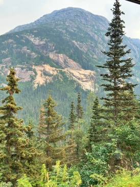 2019-07-10 12-57-15.jpg